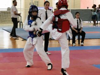 Valadares sediará Campeonato Mineiro de Taekwondo neste domingo